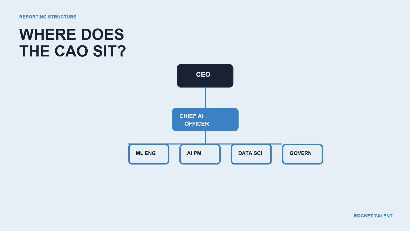 AI Governance and Risk Management Responsibilities